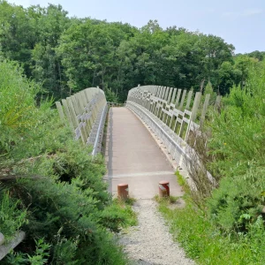 La passerelle de la Nymphe, reliant les moitiés nord et sud du Massif de la Madeleine d'Évreux, en milieu de printemps. L'une des nombreuses curiosités que vous pouvez découvrir au cours d'un Circuit nature C4U.