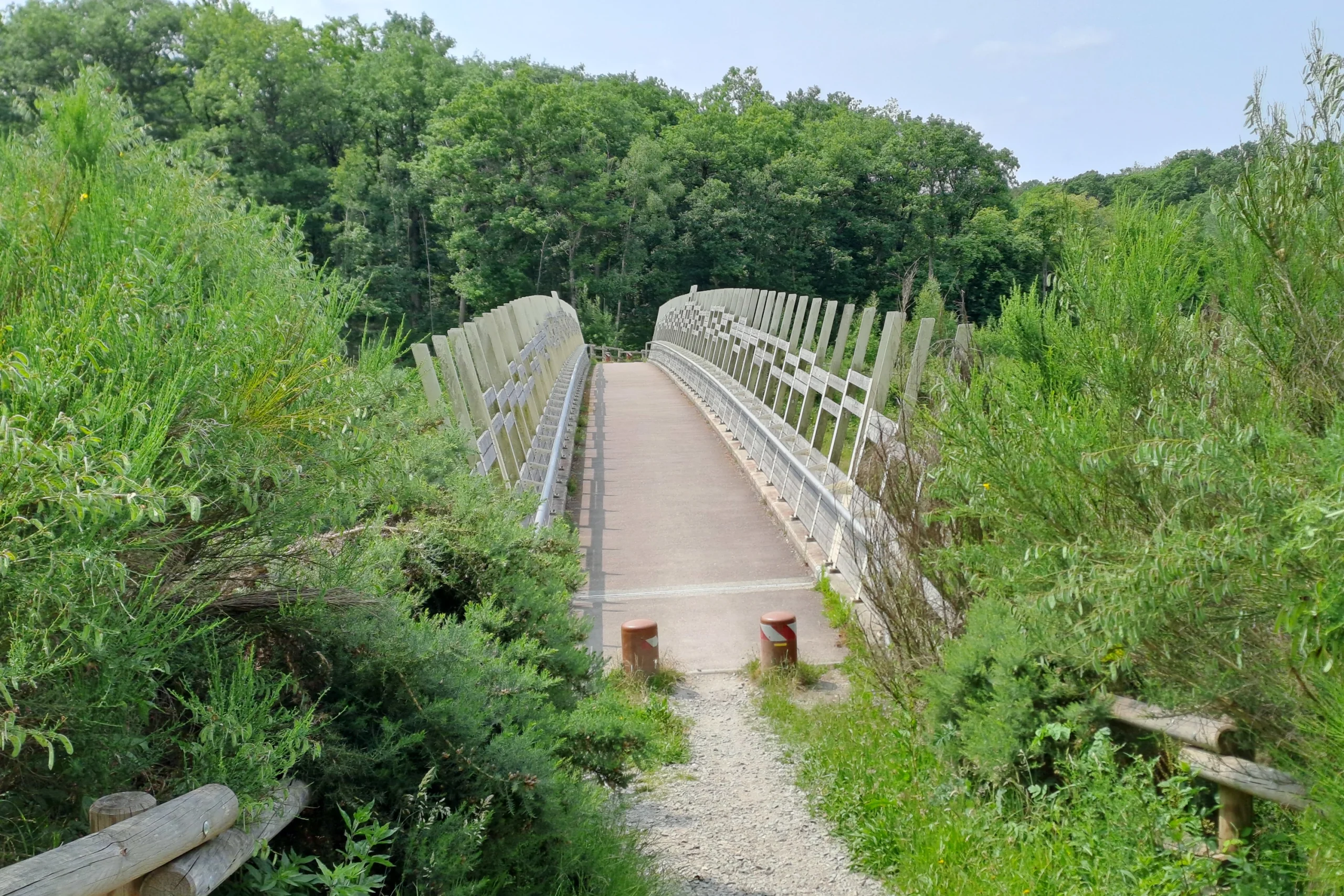 La passerelle de la Nymphe, reliant les moitiés nord et sud du Massif de la Madeleine d'Évreux, en milieu de printemps. L'une des nombreuses curiosités que vous pouvez découvrir au cours d'un Circuit nature C4U.